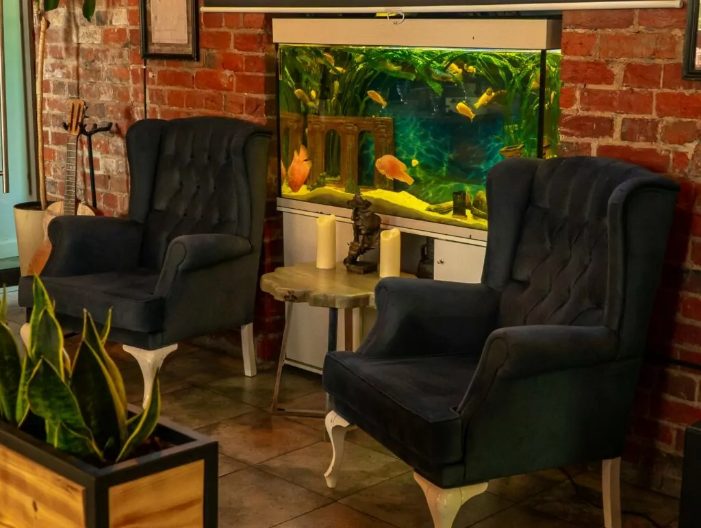 Королевская цапля, турецкий ресторан и графика XVIII века — куда пойти после работы Королевская цапля, турецкий ресторан и графика XVIII века — куда пойти после работы фото