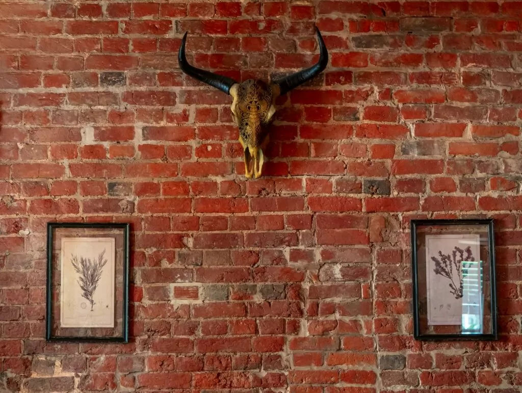 Королевская цапля, турецкий ресторан и графика XVIII века — куда пойти после работы Королевская цапля, турецкий ресторан и графика XVIII века — куда пойти после работы фото