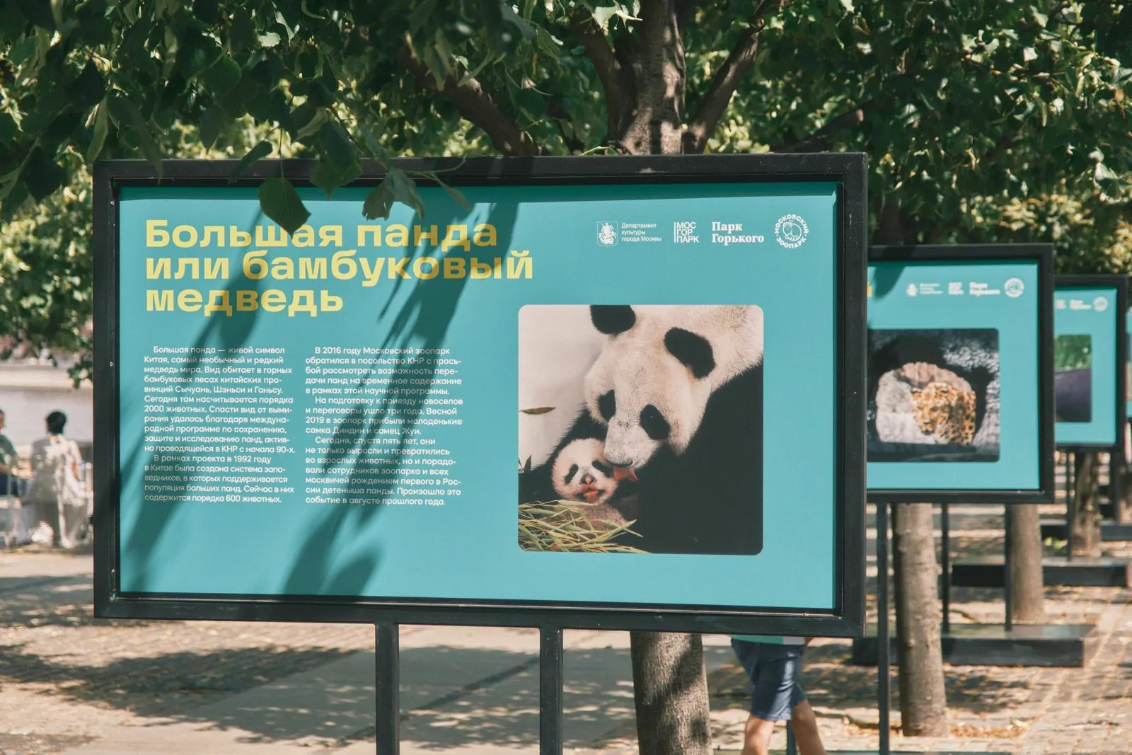 Выставка к юбилею Московского зоопарка открылась в парке искусств "Музеон", фото