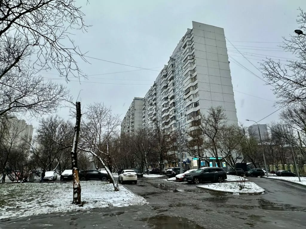 Динамо — Беговая: оракул революции Динамо — Беговая: оракул революции фото