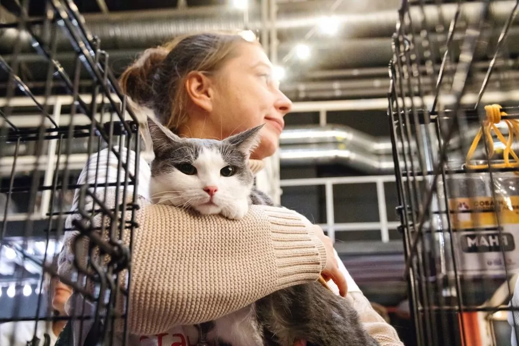 Новый год в столице: шедевры киномузыки, рождественские Святки, акварельная живопись и городок писателей Новый год в столице: шедевры киномузыки, рождественские Святки, акварельная живопись и городок писателей фото