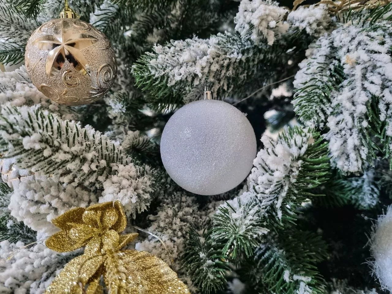 Нескучные каникулы пройдут в Северо-Западном округе, фото