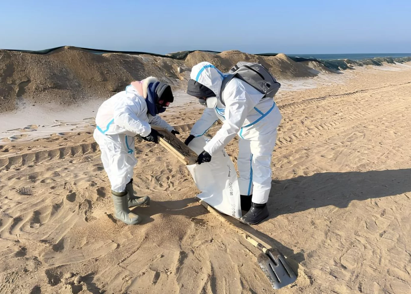 Студенты Губкинского университета приняли участие в ликвидации последствий разлива нефтепродуктов на Черноморском побережье, фото