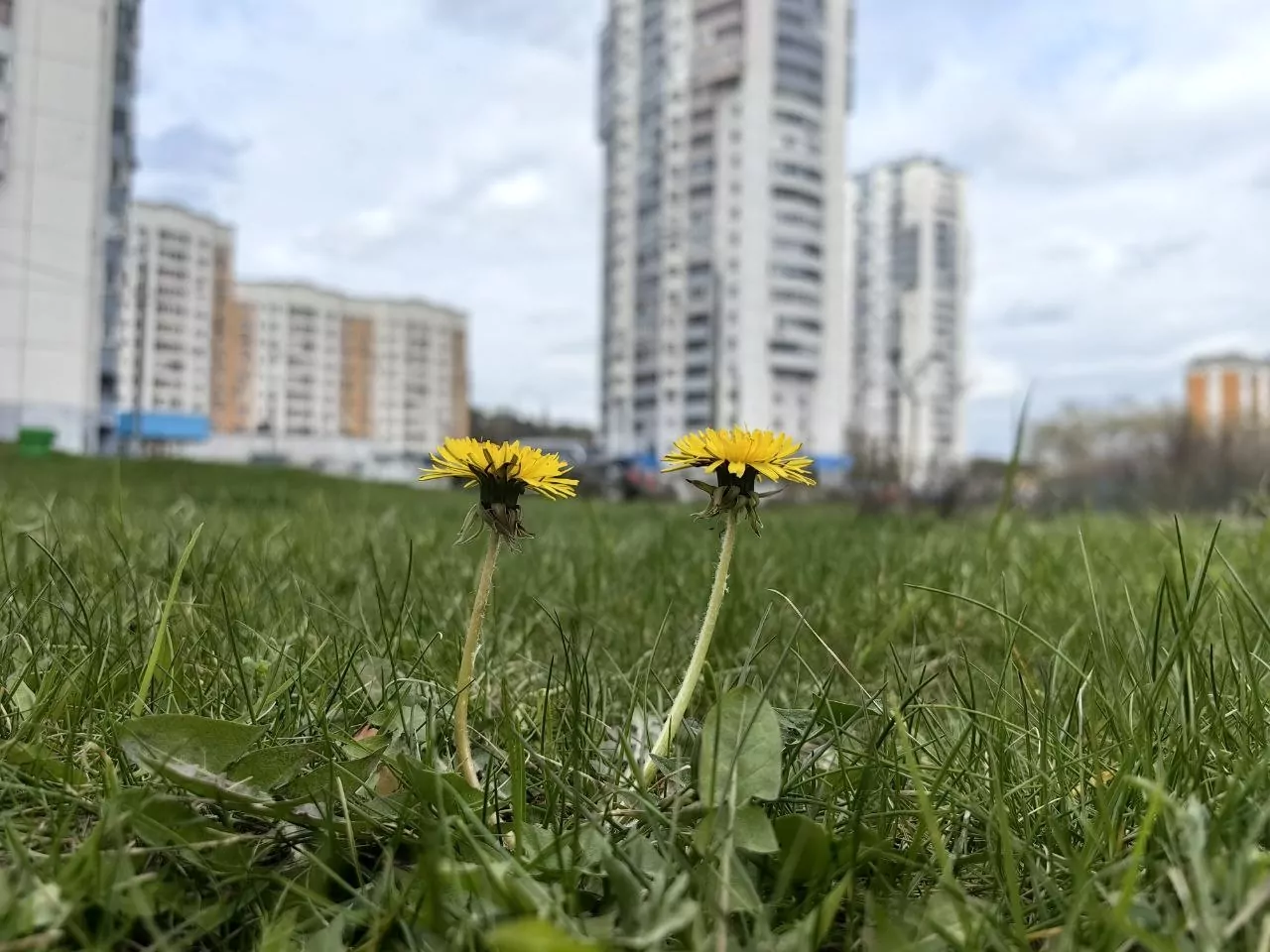 Жителей пригласили к участию в фотоконкурсе в районе Косино-Ухтомский, фото