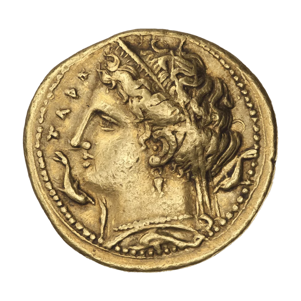 Музей нумизматики запустил новые экскурсии  фото