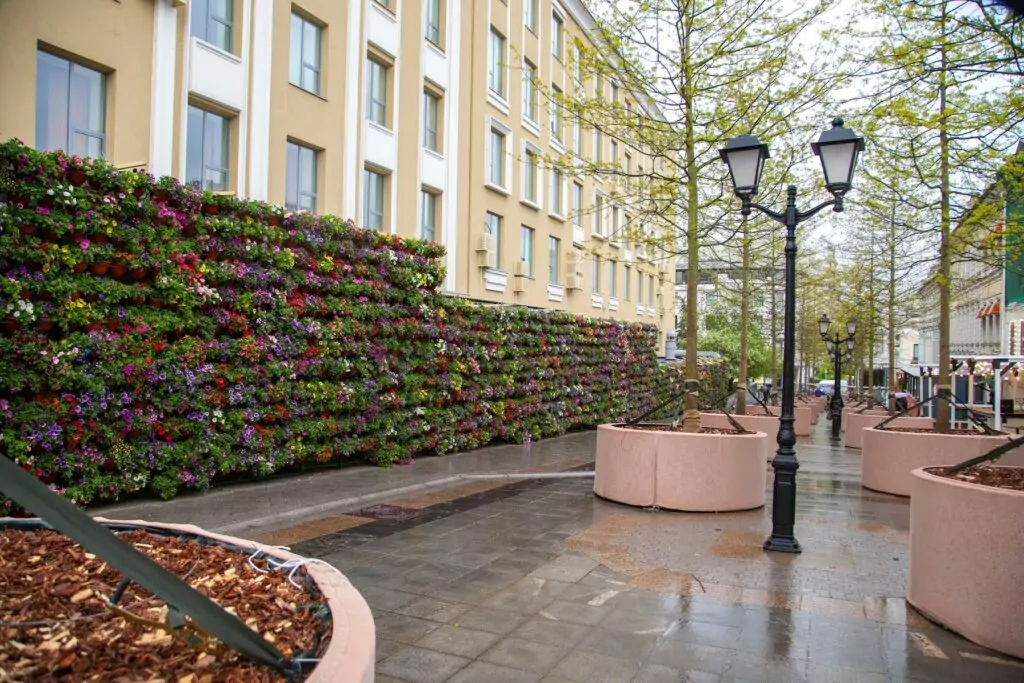 Лимонные арки, водопады и сады на крышах: красочные маршруты для прогулок подготовил фестиваль «Сады и цветы» Лимонные арки, водопады и сады на крышах: красочные маршруты для прогулок подготовил фестиваль «Сады и цветы» фото