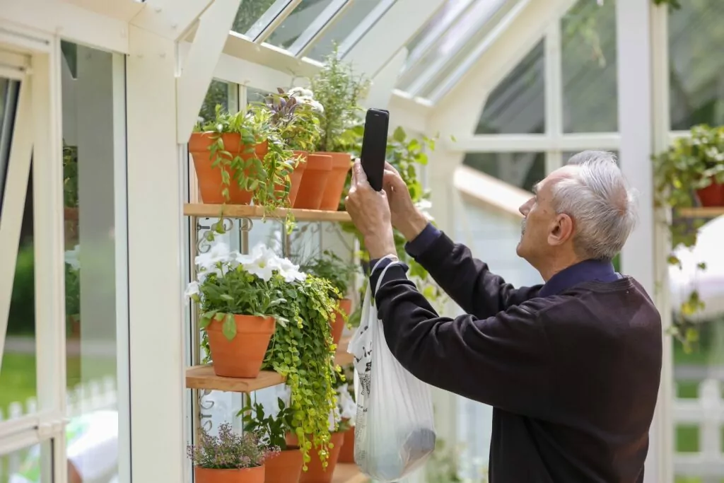 Летний отдых по-московски: горожан ждут фестивали «Дачное Царицыно» и «Сады и огороды»  фото