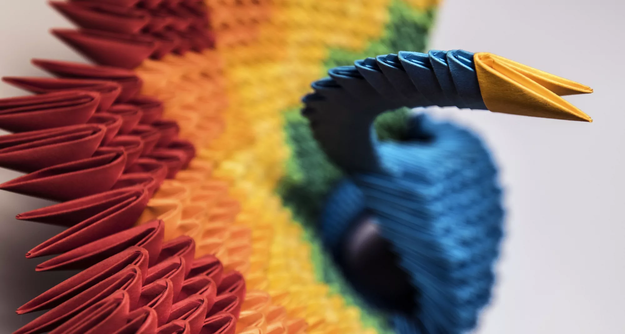 Мастер-класс «Очаровательный павлин» пройдет в Очаково-Матвеевском, фото