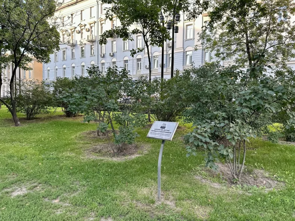 Кропоткинская — Тверская: первая часть маршрута по аллеям Бульварного кольца Кропоткинская — Тверская: первая часть маршрута по аллеям Бульварного кольца фото
