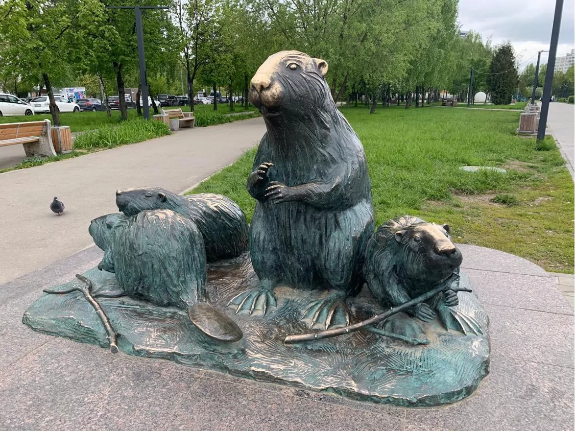 Интеллектуальная викторина пройдет в Бибирево, фото