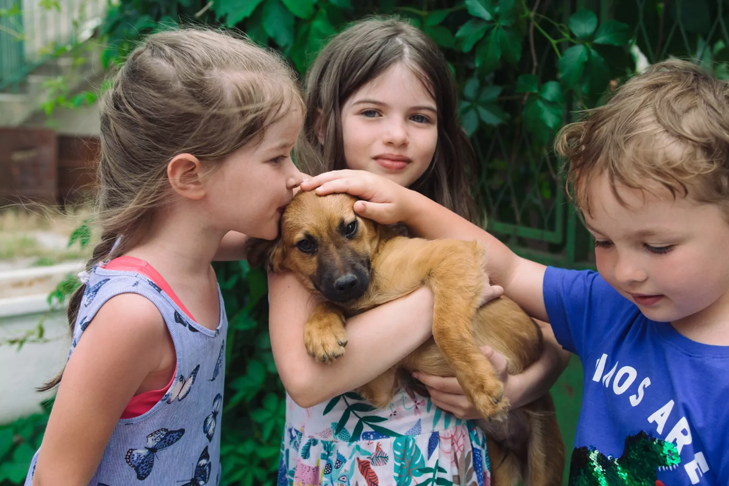 Познавательный час «Дай лапу, друг» состоится в Зябликово, фото