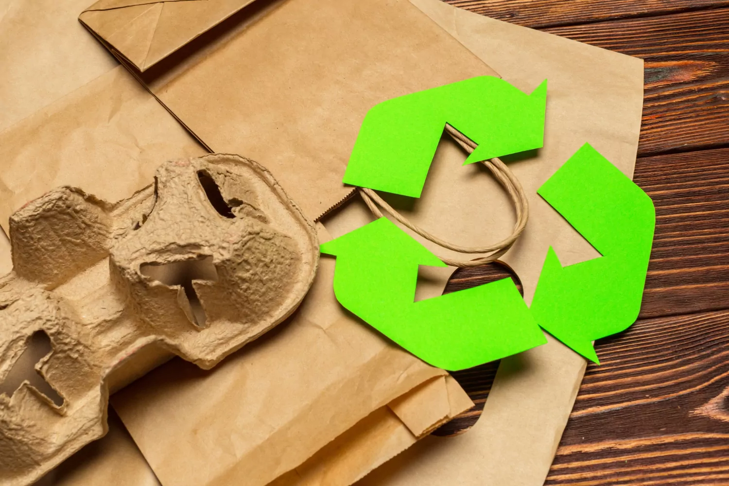 Москва значительно увеличила объем переработки вторичного сырья, фото