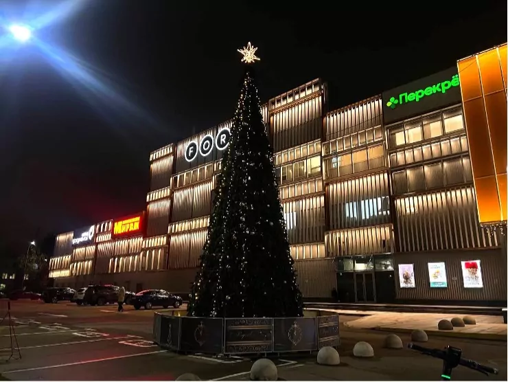 Более 10 новогодних елей украсят район Отрадное в этом году, фото