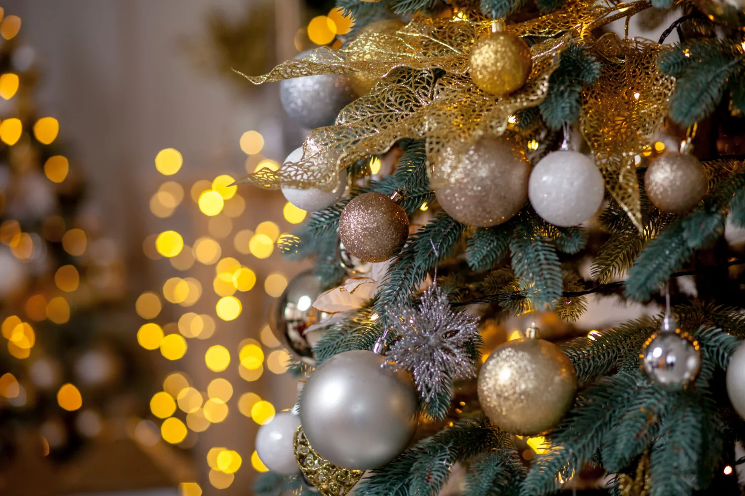 Новогоднее представление «Навстречу чудесам» состоится в Левобережном, фото