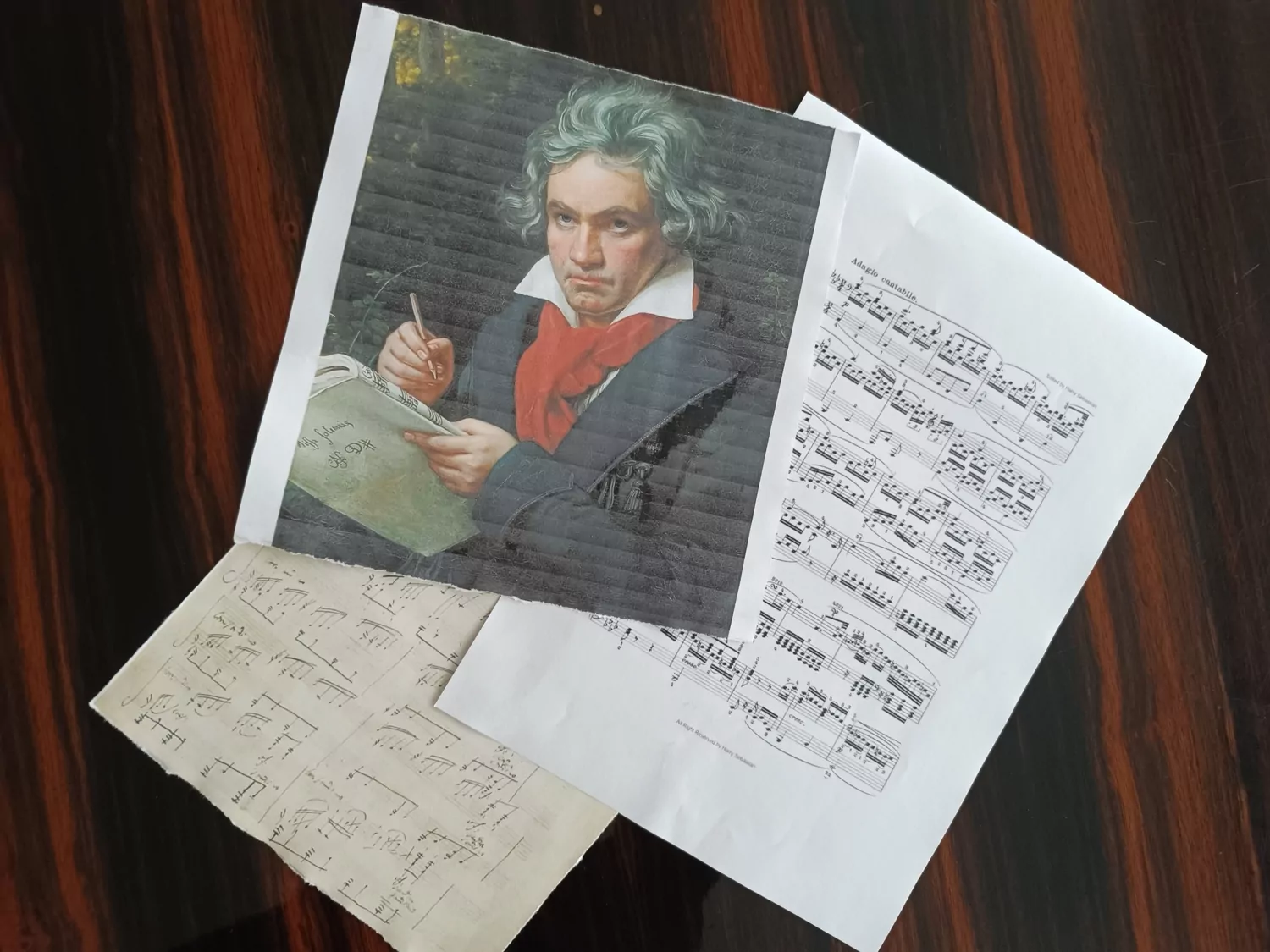 Литературно-музыкальная программа о Бетховене пройдет в Восточном Измайлово , фото