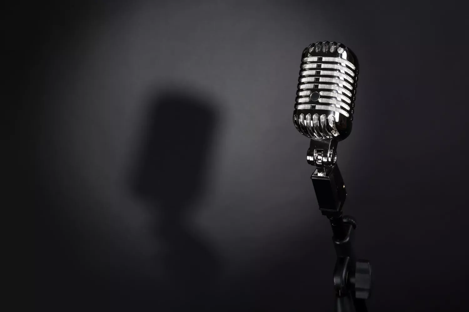 Хиты прошлых лет прозвучат на концерте в Войковском, фото