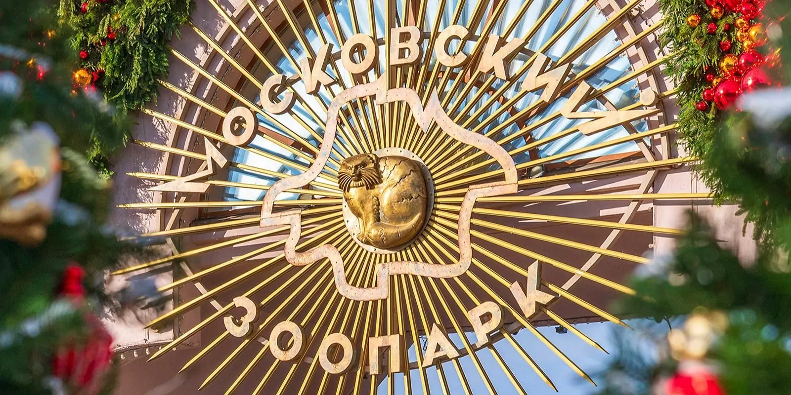 Редкий примат потто родился в Московском зоопарке, фото