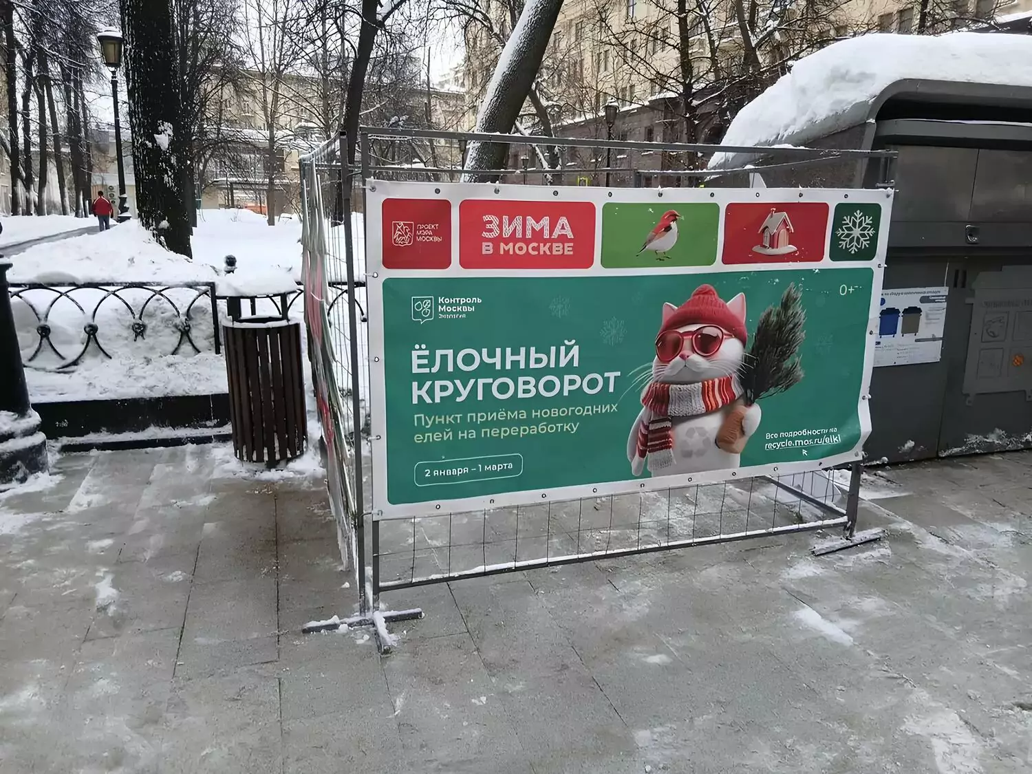 Жители Пресненского района сдали свыше 300 новогодних елей на переработку, фото