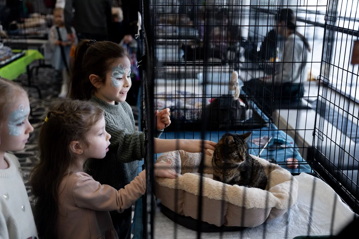 Жители Зеленограда познакомятся с подопечными приюта ГБУ «Доринвест», фото