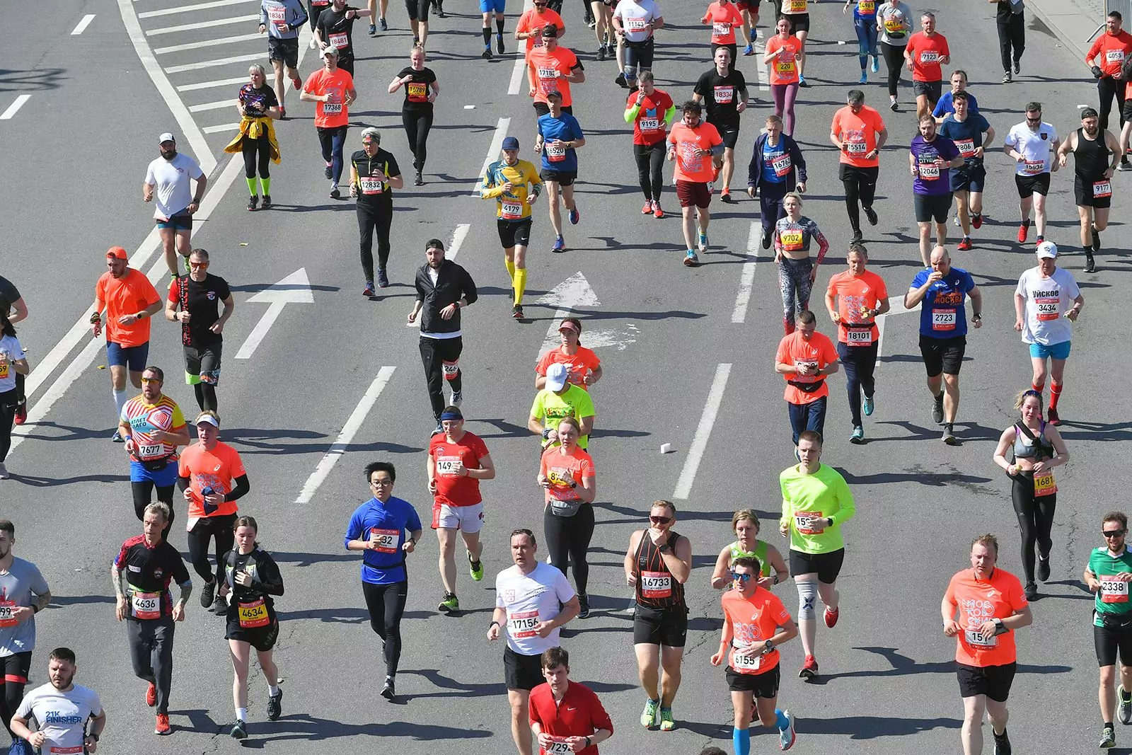 Московский полумарафон «Лужники – 2026» отменен из-за строительства, фото