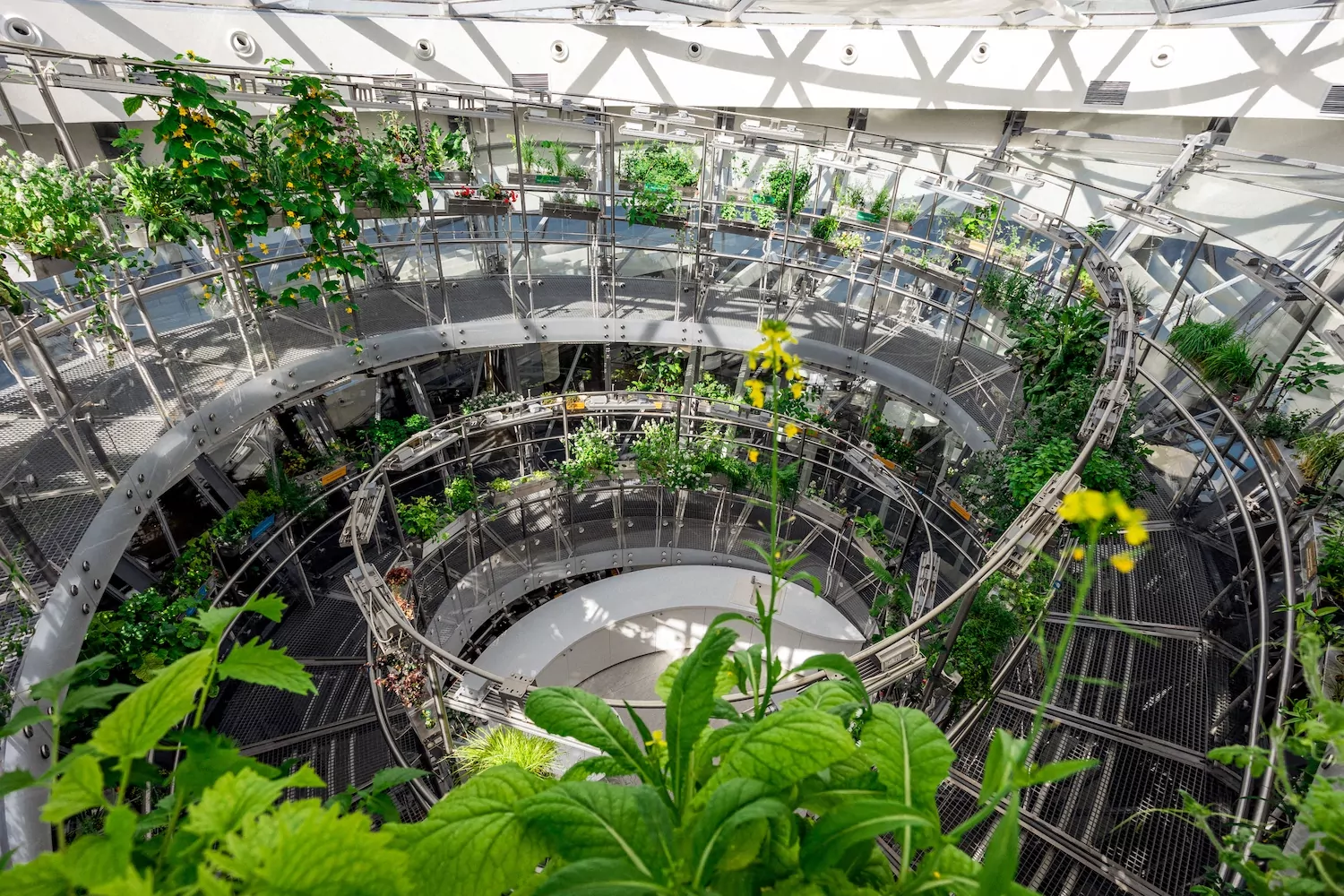 Сергунина: В «Активном гражданине» выберут самую красивую оранжерею Москвы, фото