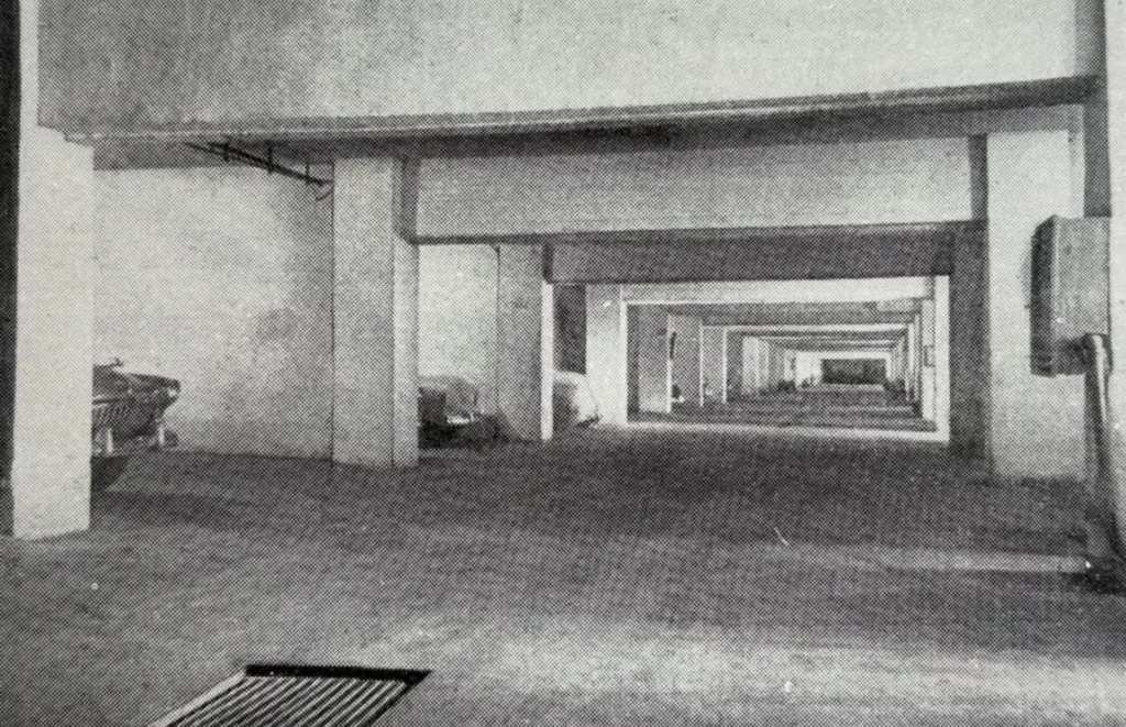 Университет — Новаторская: Данте и борьба с архитектурными излишествами Университет — Новаторская: Данте и борьба с архитектурными излишествами фото