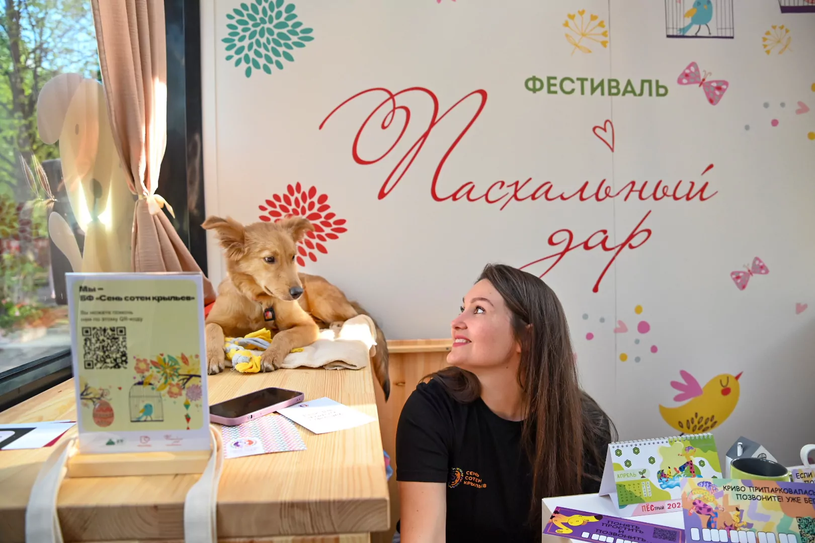 На фестивале «Пасхальный дар» открылась выставка кошек и собак из приютов, фото